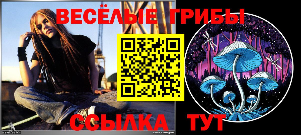 Конаково  Галлюциногенные грибы мицелий  Вход с VPN 